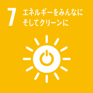 SDGs目標アイコン